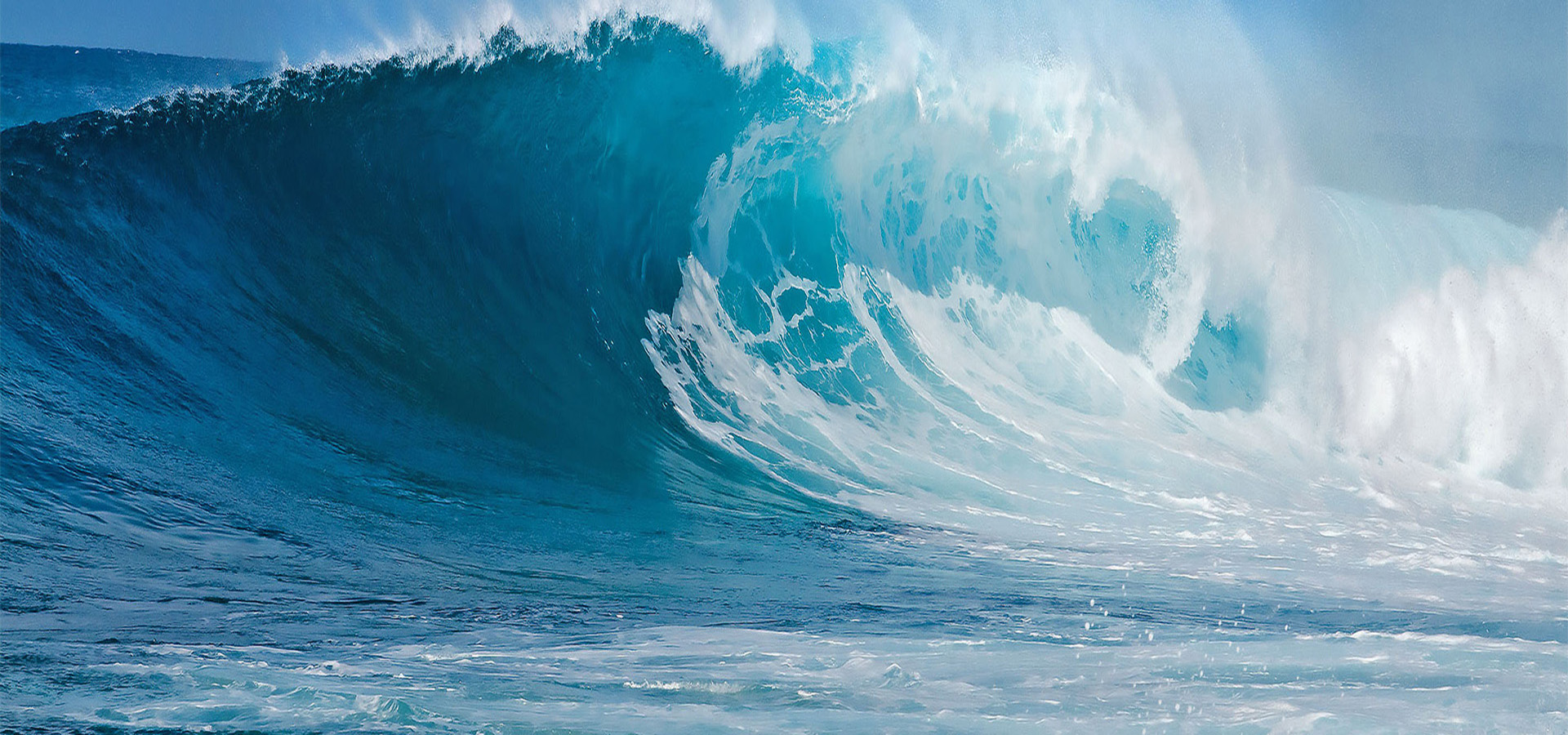 元含万象、万象腾博会官网